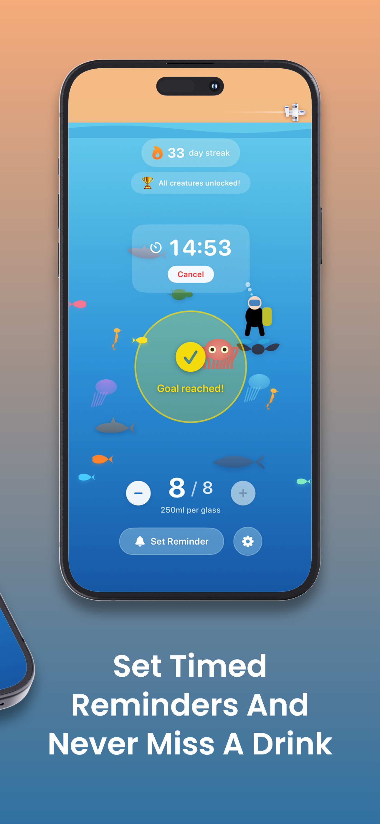 Customizable timed hydration reminders